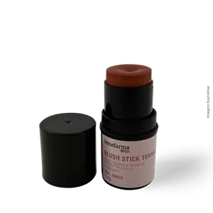 Imagem de BLUSH STICK TERRACOTA 4,5G