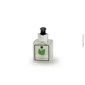 Imagem de SAB LIQ CHA VERDE 100ML - APOTEKA